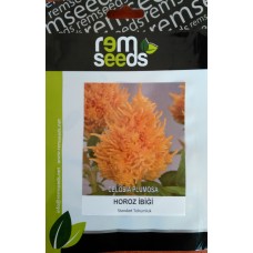 Horozibiği Çiçek Tohumu 1 - Celosıa Plumosa