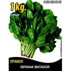 Ispanak Tohumu Matador - 1 Kg Ispanak Tohumu Matador - 1 Kg