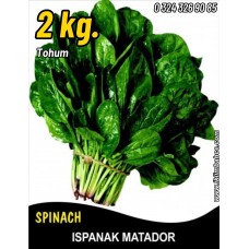 Ispanak Tohumu Matador - 2 Kg