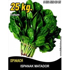 Ispanak Tohumu Matador - İthal 25 Kg Ispanak Tohumu Matador - İthal 25 Kg