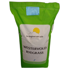 İTALYAN ÇİMİ TOHUMU RYEGRASS LOLIUM MULTIFLORUM EXTREM - 25 KG