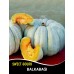 Kabak Tohumu Balkabağı - 25 G.  (~ Takribi 90 Tohum)