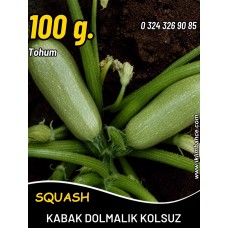 Kabak Tohumu Sakız Beyaz Dolmalık - 100G Kabak Tohumu Sakız Beyaz Dolmalık - 100G