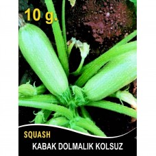 Kabak Tohumu Sakız Beyaz Dolmalık - 10G (~ Takribi 35 Tohum)