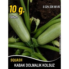 Kabak Tohumu Sakız Beyaz Dolmalık - 10G (~ Takribi 35 Tohum) Kabak Tohumu Sakız Beyaz Dolmalık - 10G (~ Takribi 35 Tohum)