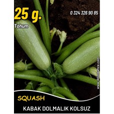 Kabak Tohumu Sakız Beyaz Dolmalık - 25 G. (~ Takribi 90 Tohum)