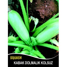 Kabak Tohumu Sakız Beyaz Dolmalık - 500G