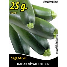 Kabak Tohumu Siyah Dolmalık - 25 G. (~ Takribi 90 Tohum) Kabak Tohumu Siyah Dolmalık - 25 G. (~ Takribi 90 Tohum)