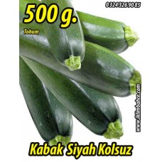 Kabak Tohumu Siyah (Kolsuz) 500 G.