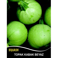 Kabak Tohumu Topak(Bomba) Beyaz - 25 G (~ Takribi 90 Tohum)