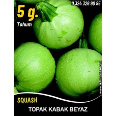 Kabak Tohumu Topak(Bomba) Beyaz - 5 G (~ Takribi 20 Tohum)