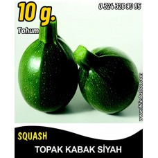 Kabak Tohumu Topak(Bomba) Siyah 10 G. (~ Takribi 35 Tohum)