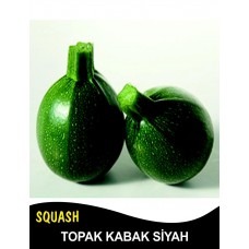 Kabak Tohumu Topak(Bomba) Siyah 3 G. (~ Takribi 10 Tohum)