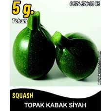 Kabak Tohumu Topak(Bomba) Siyah 5 G. (~ Takribi 20 Tohum) Kabak Tohumu Topak(Bomba) Siyah 5 G. (~ Takribi 20 Tohum)