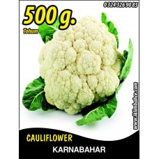 Karnabahar Tohumu Igloo Tnk 500G