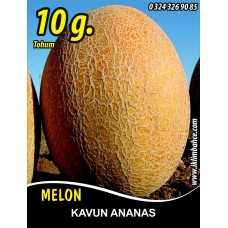 Kavun Tohumu Ananas - 10 G. (~ Takribi 140 Tohum)