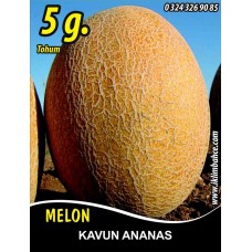 Kavun Tohumu Ananas - 5 G. (~ Takribi 70 Tohum)