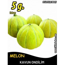 Kavun Tohumu On Dilim  5 G  (~ Takribi 70 Tohum)