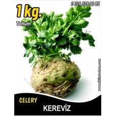 Kereviz Tohumu Kök - 1 Kg Kereviz Tohumu Kök - 1 Kg