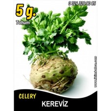 Kereviz Tohumu Kök - 5 G. (~ Takribi 750 Tohum)