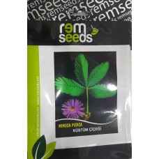 Küstüm Çiçeği Tohumu - MIMOSA Pk. (~ Takribi 30 Tohum)