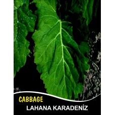 Lahana Tohumu Karadere (Yaprak); - 100g