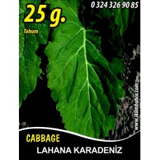 Lahana Tohumu Karadere (Yaprak) - 25 G. (~ Takribi 3250 Tohum)