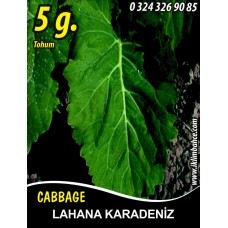 Lahana Tohumu Karadere (Yaprak); - 5g (~ Takribi 650 Tohum)