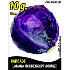 Lahana Tohumu Mohrenkopf (Kırmızı) - 10 G (~ Takribi 1300 Tohum)