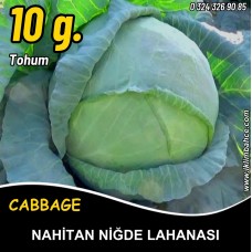 Lahana Tohumu Nahitan Niğde Beyaz Lahanası 10 G. (~ Takribi 1300 Tohum)