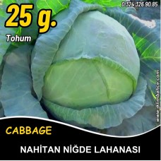 Lahana Tohumu Nahitan Niğde Beyaz Lahanası 25 G. (~ Takribi 3250 Tohum)