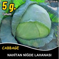 Lahana Tohumu Nahitan Niğde Beyaz Lahanası 5 G. (~ Takribi 650 Tohum)