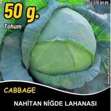Lahana Tohumu Nahitan Niğde Beyaz Lahanası 50 G.
