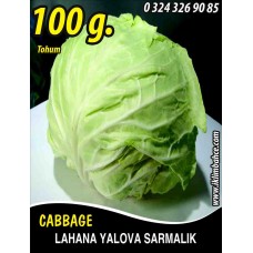 Lahana Tohumu Yalova Sarmalık (Beyaz) - 100 g
