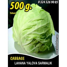 Lahana Tohumu Yalova Sarmalık (Beyaz) - 500 g