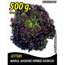 Marul Tohumu Akdeniz Kıvırcığı 500 G.