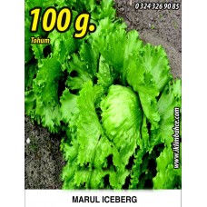 Marul Tohumu Iceberg - 100 G.