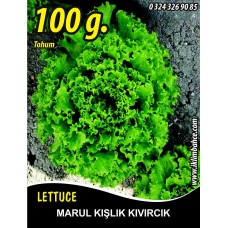 Marul Tohumu Kışlık Kıvırcık - 100 G.