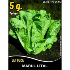 Marul Tohumu Lital - 5 G (~ Takribi 2750 Tohum)