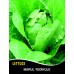Marul Tohumu Yedikule 5701 Pk 10G (~ Takribi 5500 Tohum) Marul Tohumu Yedikule 5701 Pk 10G (~ Takribi 5500 Tohum)