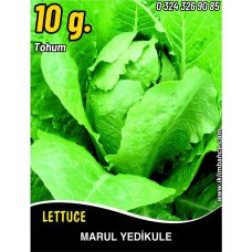 Marul Tohumu Yedikule 5701 Pk 10G (~ Takribi 5500 Tohum) Marul Tohumu Yedikule 5701 Pk 10G (~ Takribi 5500 Tohum)
