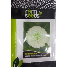 Medine Çiçek Tohumu - Hanım Düğmesi Çiçeği - 1 - Gomphrena Globosa Pk. (~ Takribi 30 Tohum)