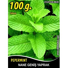 Nane Tohumu Geniş Yaprak - 100 g