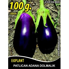 Patlıcan Tohumu Adana Dolmalık - 100 G