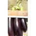 Patlıcan Tohumu Aydın Siyahı 55 - 1 Kg