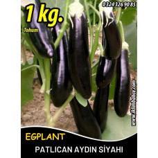 Patlıcan Tohumu Aydın Siyahı 55 - 1 Kg