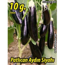 Patlıcan Tohumu Aydın Siyahı 55 - 10 G. (~ Takribi 1300 Tohum)
