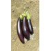 Patlıcan Tohumu Aydın Siyahı 55 - 100 G.