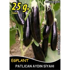 Patlıcan Tohumu Aydın Siyahı 55 - 25 G. (~ Takribi 3.250 Tohum) Patlıcan Tohumu Aydın Siyahı 55 - 25 G. (~ Takribi 3.250 Tohum)