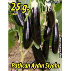 Patlıcan Tohumu Aydın Siyahı 55 - 25 G. (~ Takribi 3.250 Tohum)